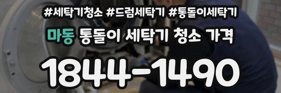 마동 통돌이 세탁기 청소 가격