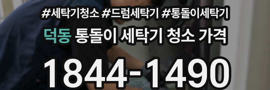 덕동 통돌이 세탁기 청소 가격