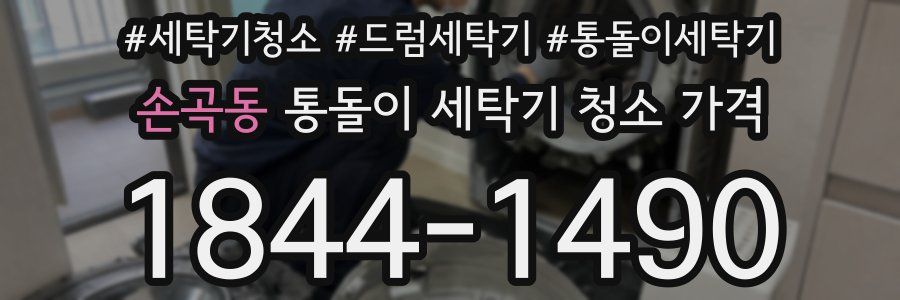 손곡동 통돌이 세탁기 청소 가격