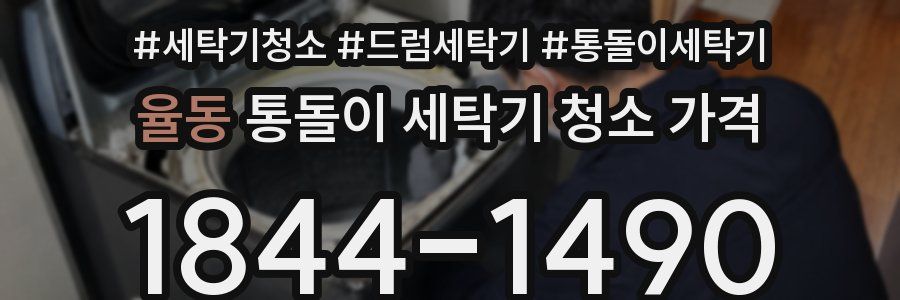 율동 통돌이 세탁기 청소 가격