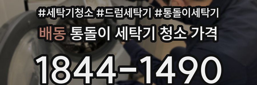 배동 통돌이 세탁기 청소 가격