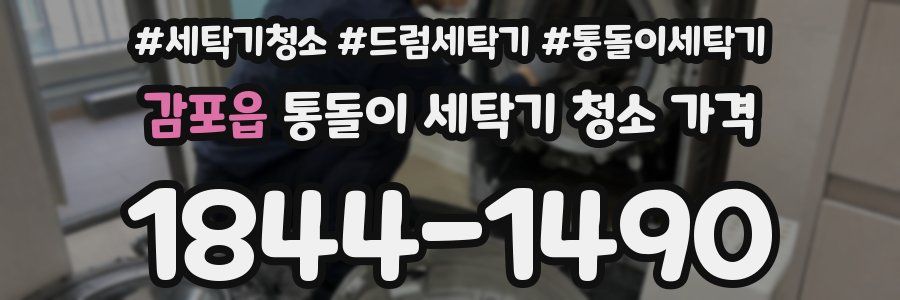 감포읍 통돌이 세탁기 청소 가격
