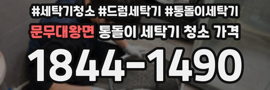 문무대왕면 통돌이 세탁기 청소 가격