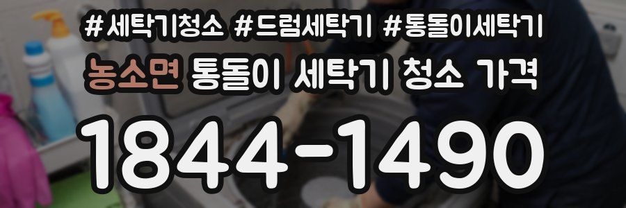 농소면 통돌이 세탁기 청소 가격