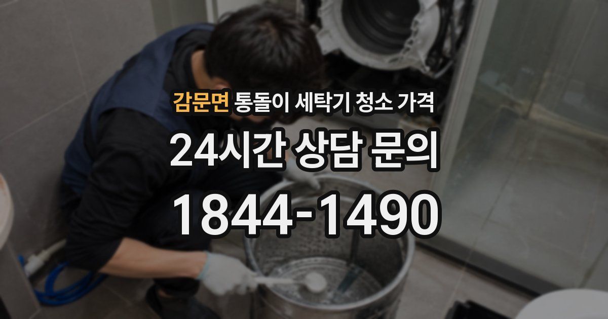 감문면 통돌이 세탁기 청소 가격