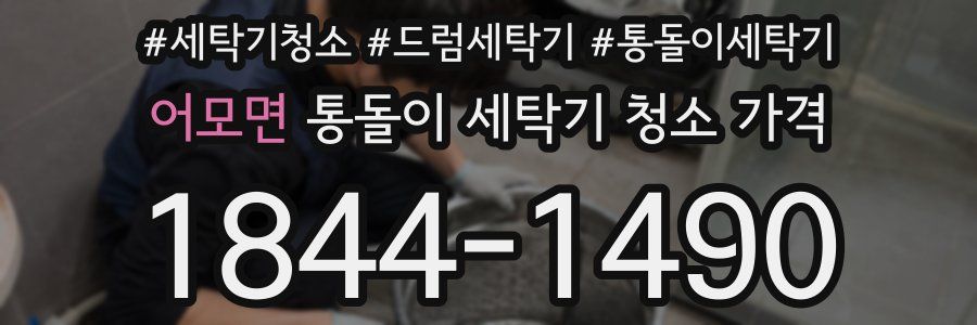 어모면 통돌이 세탁기 청소 가격