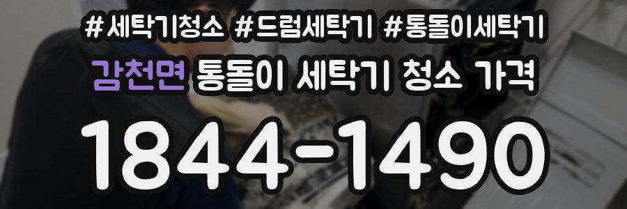 감천면 통돌이 세탁기 청소 가격