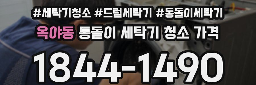 옥야동 통돌이 세탁기 청소 가격