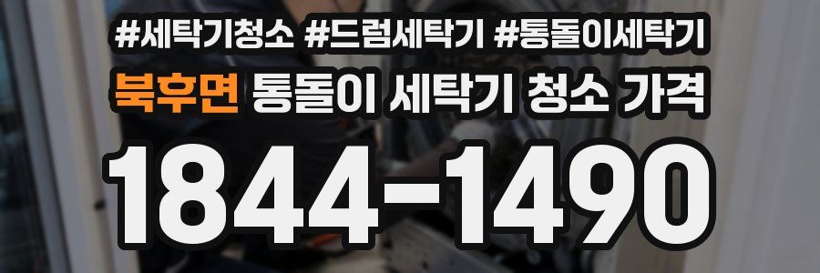 북후면 통돌이 세탁기 청소 가격