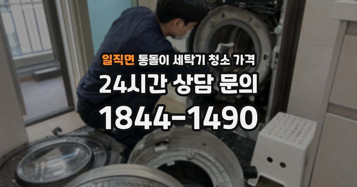 일직면 통돌이 세탁기 청소 가격