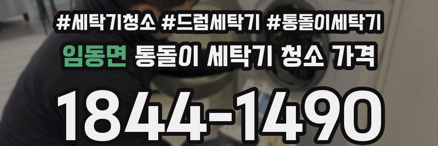 임동면 통돌이 세탁기 청소 가격
