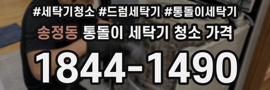 송정동 통돌이 세탁기 청소 가격