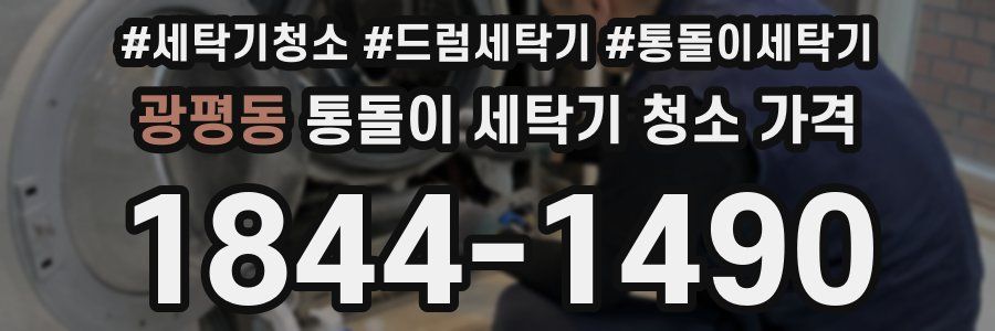 광평동 통돌이 세탁기 청소 가격