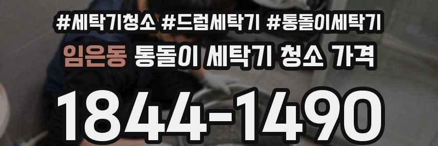 임은동 통돌이 세탁기 청소 가격