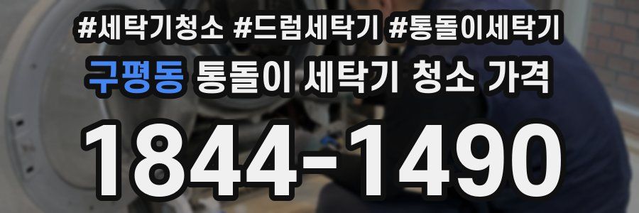 구평동 통돌이 세탁기 청소 가격
