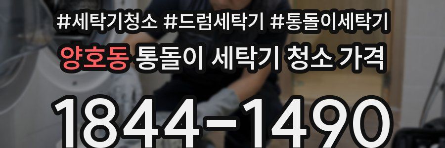 양호동 통돌이 세탁기 청소 가격
