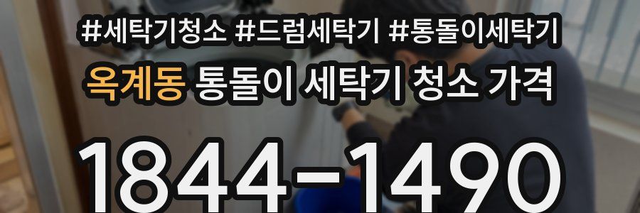 옥계동 통돌이 세탁기 청소 가격
