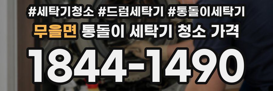 무을면 통돌이 세탁기 청소 가격