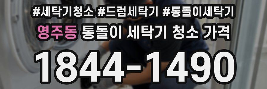 영주동 통돌이 세탁기 청소 가격