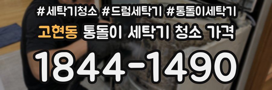 고현동 통돌이 세탁기 청소 가격