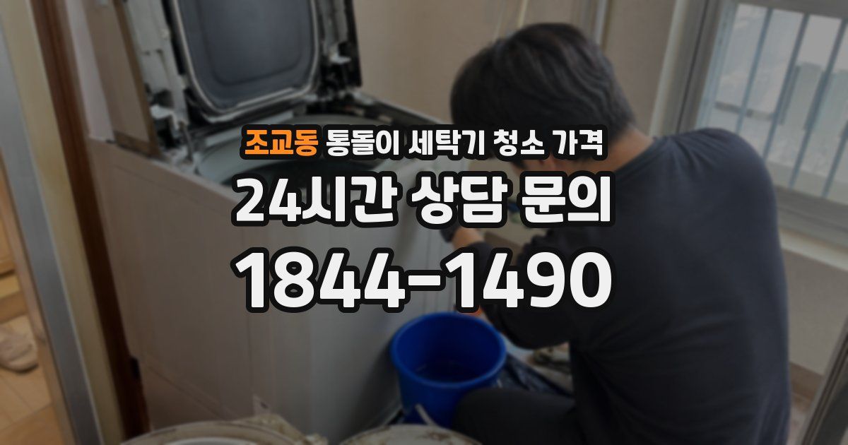 조교동 통돌이 세탁기 청소 가격