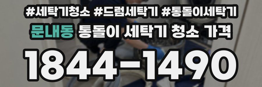 문내동 통돌이 세탁기 청소 가격