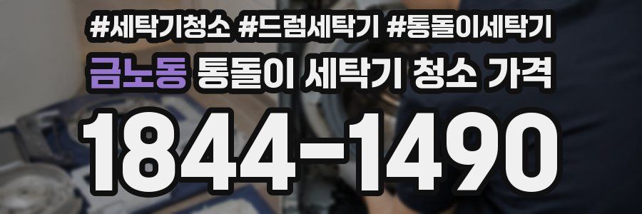 금노동 통돌이 세탁기 청소 가격