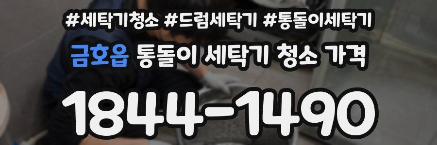 금호읍 통돌이 세탁기 청소 가격