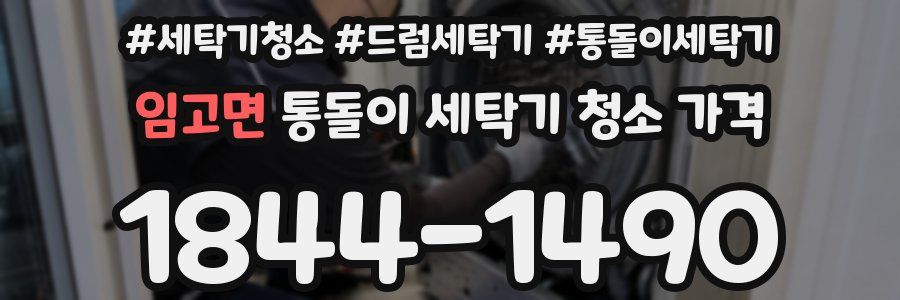임고면 통돌이 세탁기 청소 가격