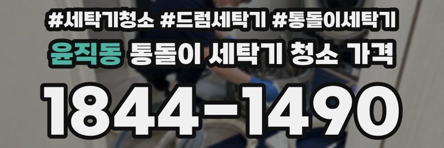 윤직동 통돌이 세탁기 청소 가격