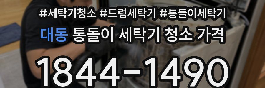 대동 통돌이 세탁기 청소 가격