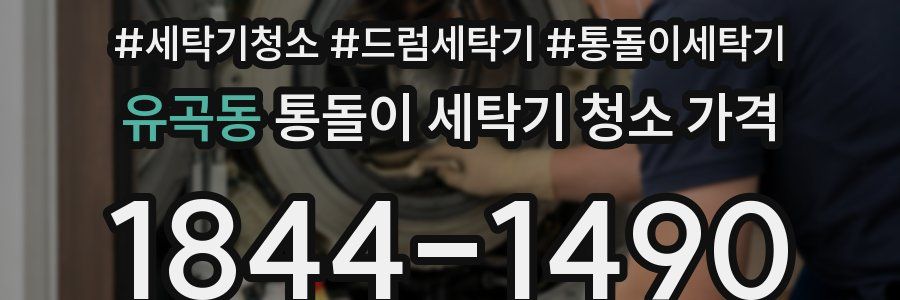 유곡동 통돌이 세탁기 청소 가격