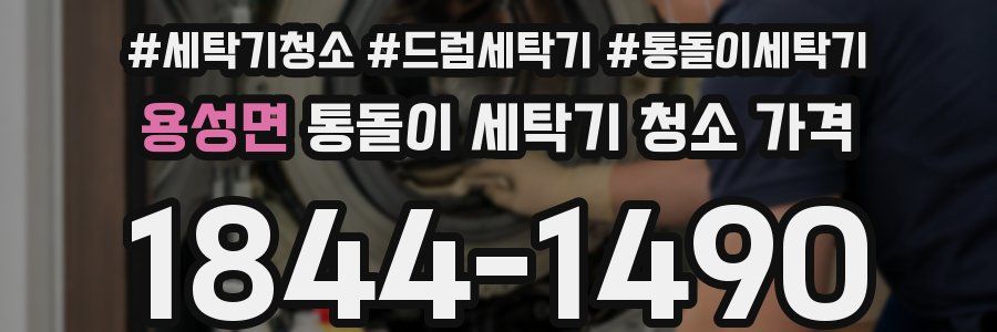 용성면 통돌이 세탁기 청소 가격