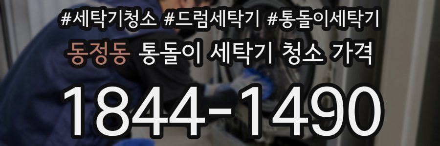 동정동 통돌이 세탁기 청소 가격