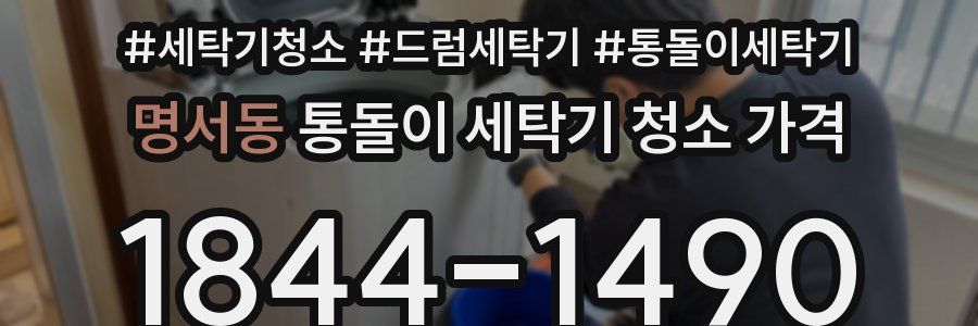 명서동 통돌이 세탁기 청소 가격