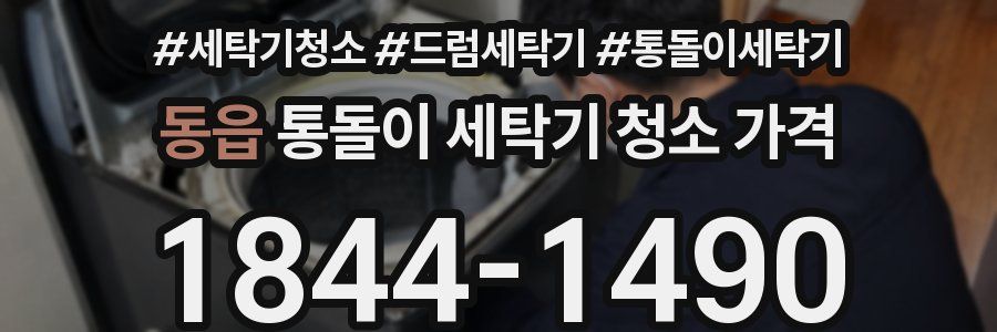 동읍 통돌이 세탁기 청소 가격