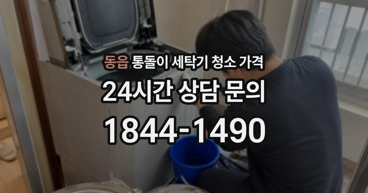 동읍 통돌이 세탁기 청소 가격