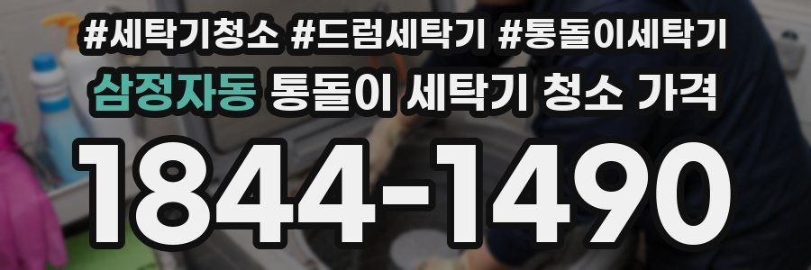 삼정자동 통돌이 세탁기 청소 가격