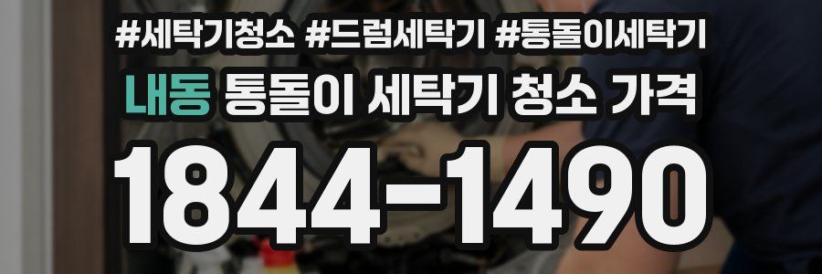 내동 통돌이 세탁기 청소 가격