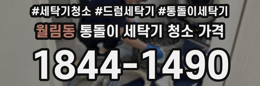 월림동 통돌이 세탁기 청소 가격