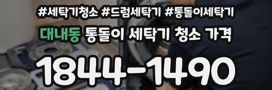 대내동 통돌이 세탁기 청소 가격