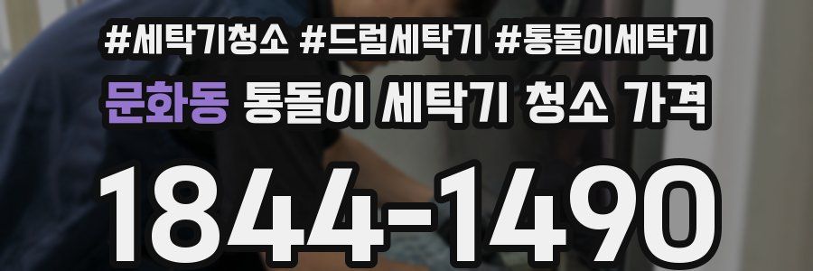 문화동 통돌이 세탁기 청소 가격