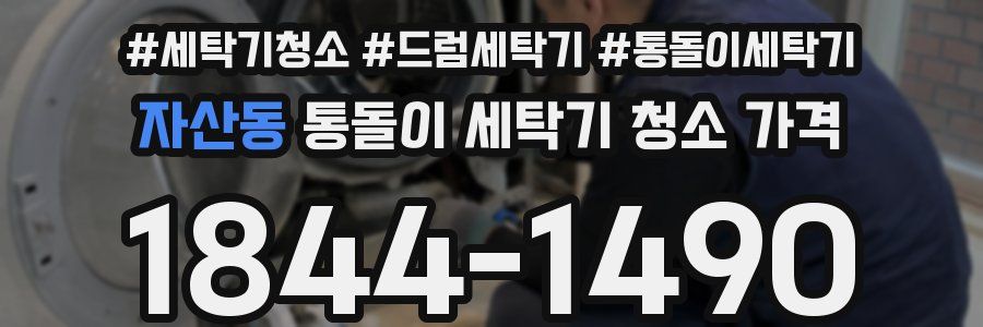 자산동 통돌이 세탁기 청소 가격
