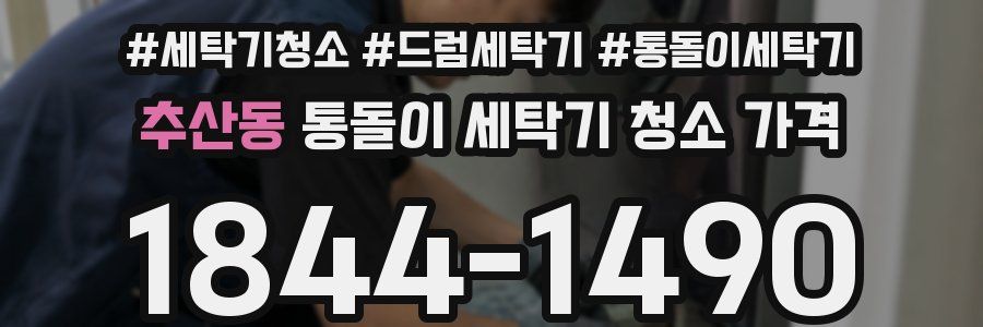 추산동 통돌이 세탁기 청소 가격