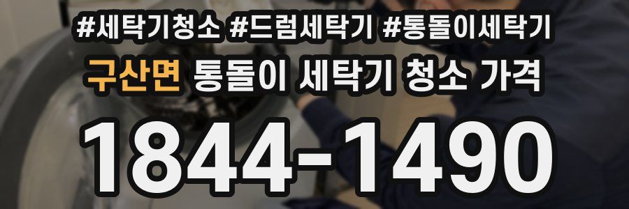 구산면 통돌이 세탁기 청소 가격