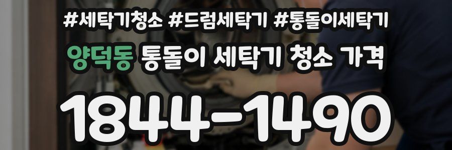 양덕동 통돌이 세탁기 청소 가격