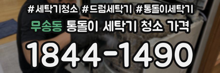 무송동 통돌이 세탁기 청소 가격