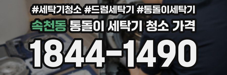 속천동 통돌이 세탁기 청소 가격