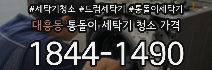 대흥동 통돌이 세탁기 청소 가격