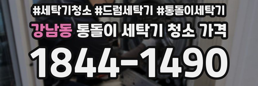 강남동 통돌이 세탁기 청소 가격